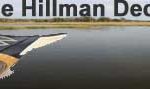 Hillman Decoys